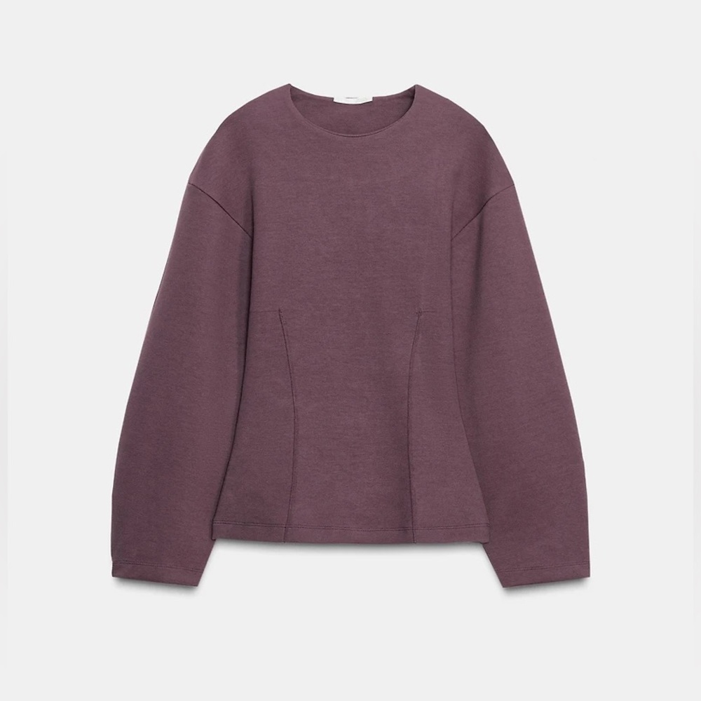 Zara NWT puff sleeve long sleeve top peplum cinched waist dusty mauve